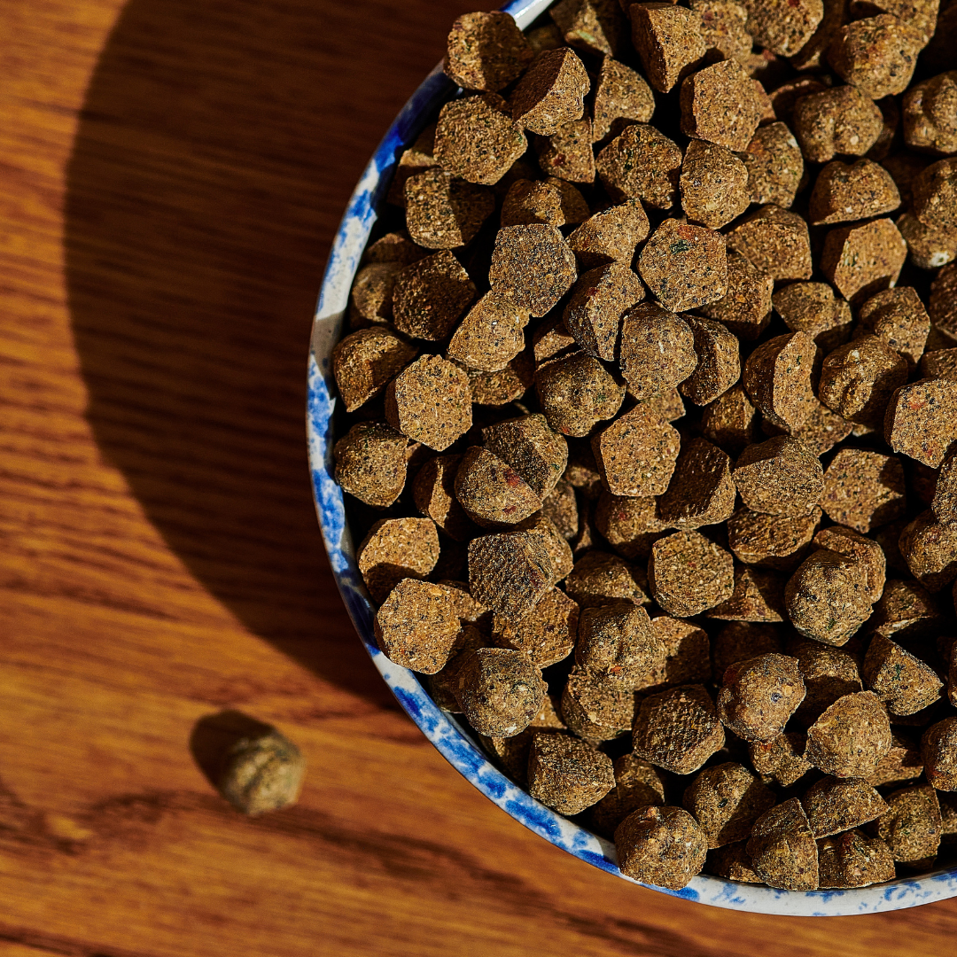 Plant-Based Adult Dry Dog Food – Vet-Designed – Petaluma