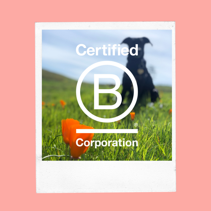 Petaluma earns B Corp Certification with 105 Score
