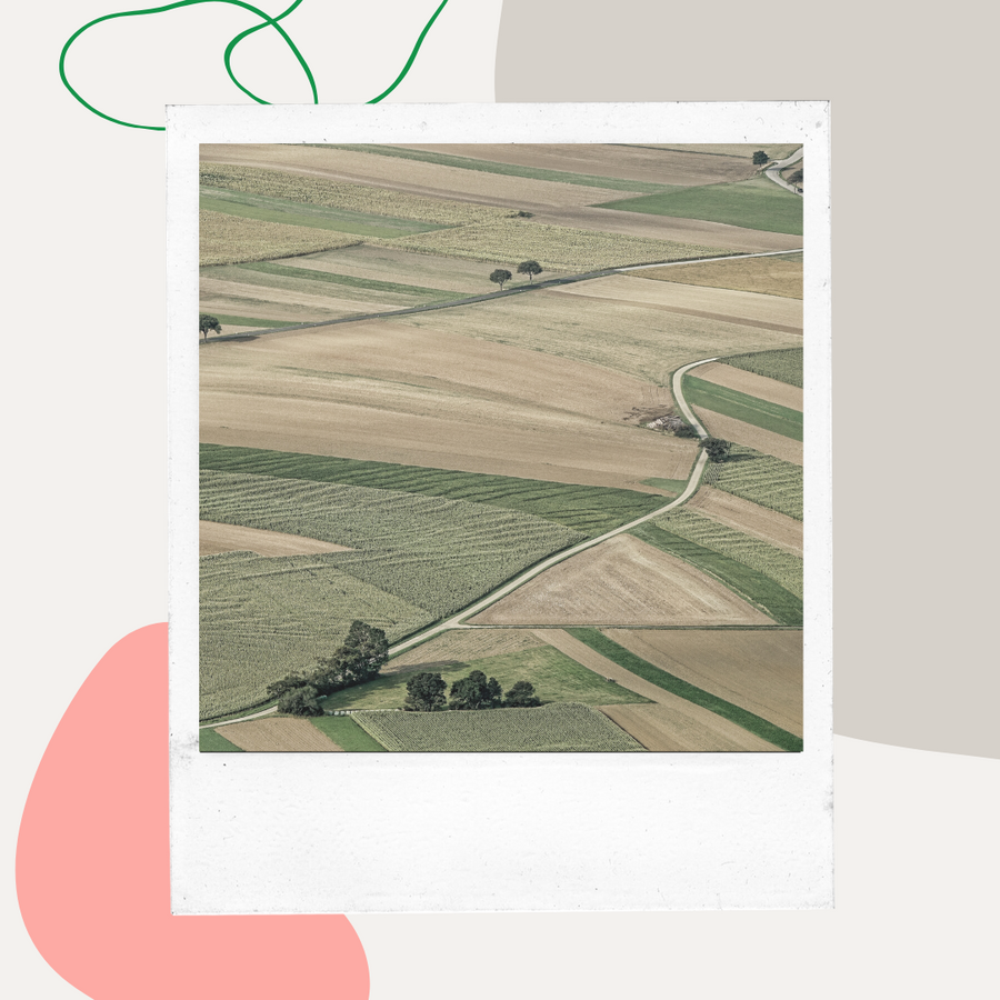 Aerial view of farm fields with a winding country road