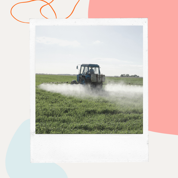 Tractor spraying a green crop field