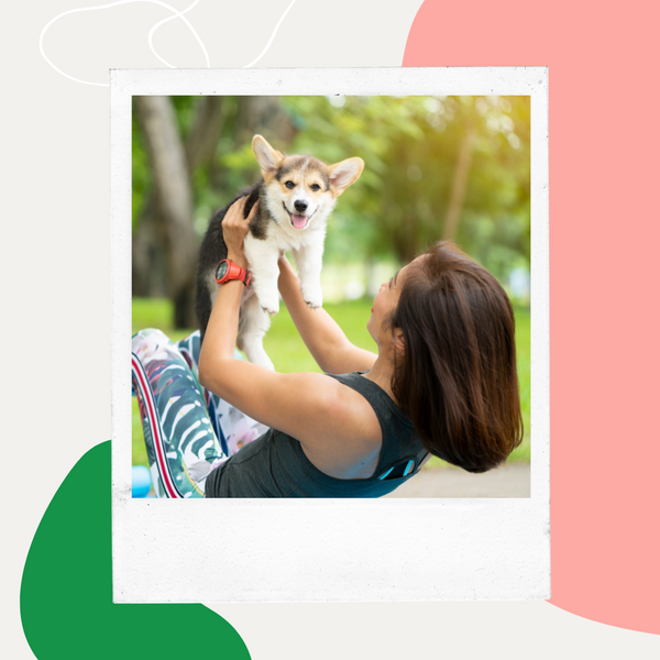 Woman holding up a small dog outdoors