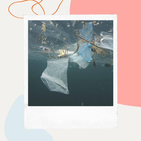 Plastic bag floating underwater