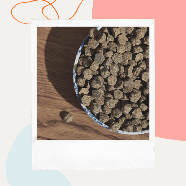 Bowl of Petaluma kibble on a wooden table