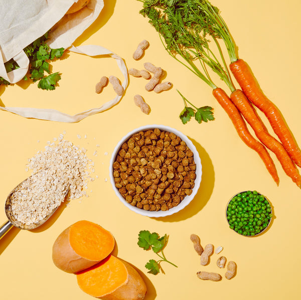 Bowl of Petaluma kibble surrounded by peanuts, oats, carrots, sweet potatoes, and peas