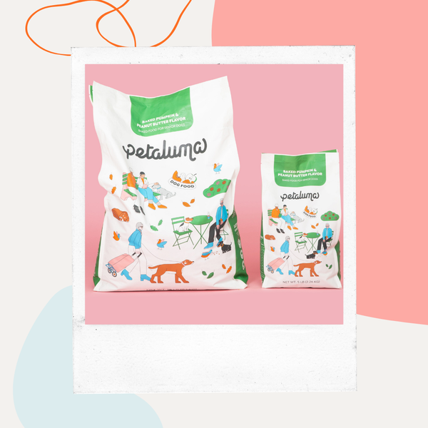 Bags of Petaluma dog food on a pink background