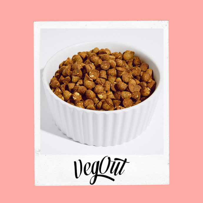 Can Dogs Be Vegan? This Dog Food Brand Is Proving They Can