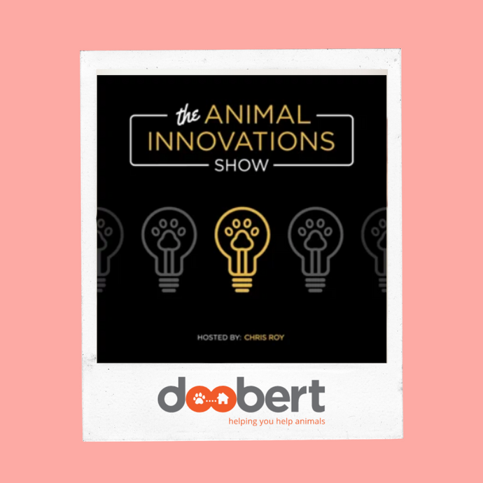 Sustainable Pet Food That's Good for Your Pet and Good for the Planet