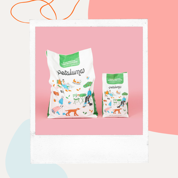 Two bags of Petaluma senior dog food on a pink background