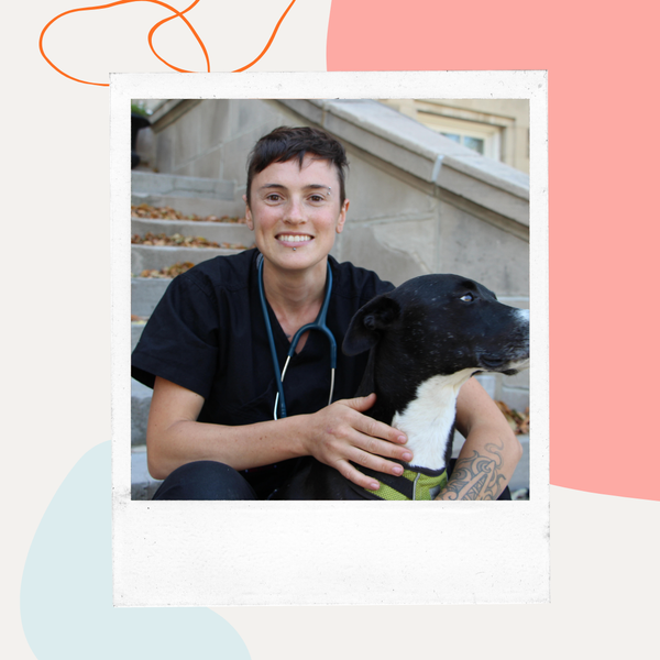 Dr. Sarah Dodd sitting on steps with a black-and-white dog