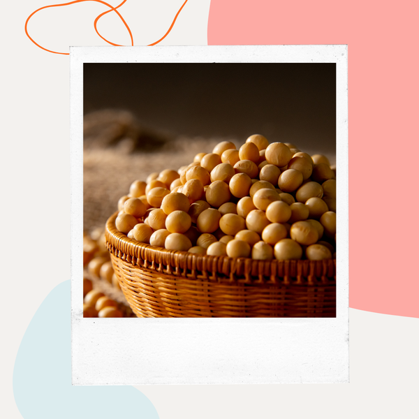 Basket of soybeans