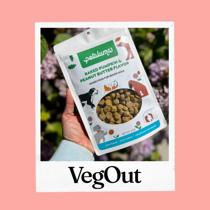 Petaluma Launches Vegan Dog Food for Senior Pups