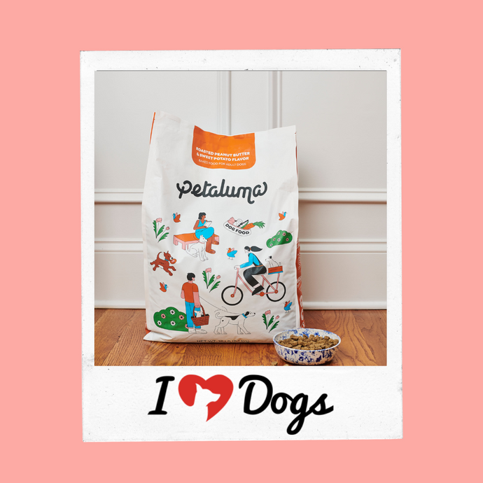 8 Best Eco-Friendly and Sustainable Dog Foods (2024)