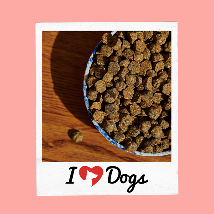 6 Best Oven Baked Dog Foods