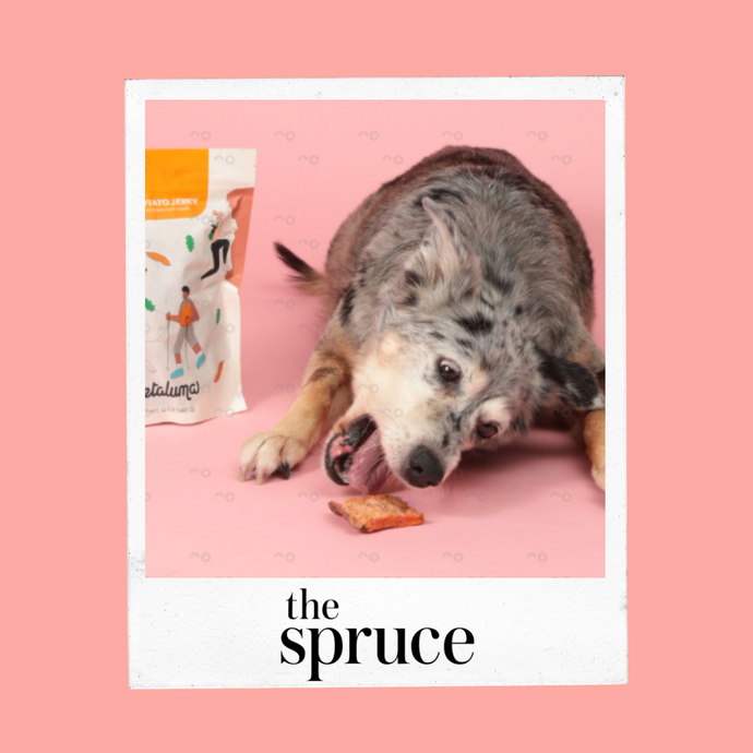 The 12 Best Dog Chews of 2023