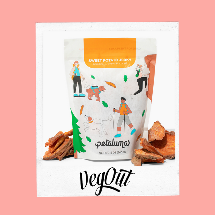 People Are Ditching Traditional Chews for These Healthier, Plant-Based Dog Treats