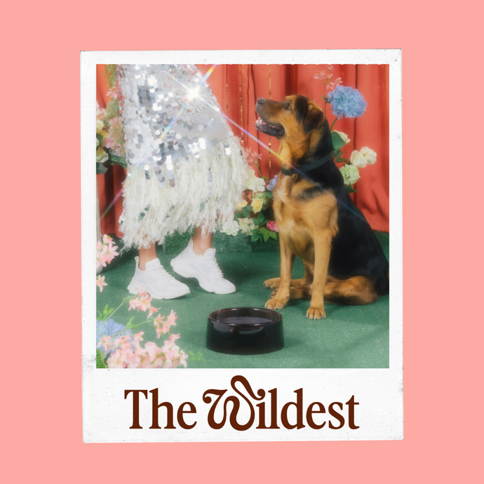 The Wildest Best in Show Pet Products Awards
