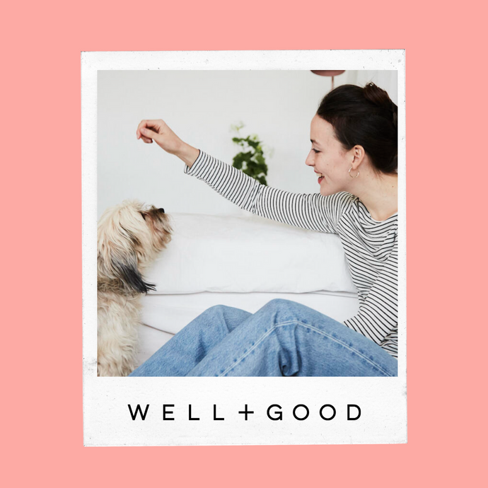 8 Kinds of Dog-Approved Treats That Are *Actually* Good for Them, According to a Vet