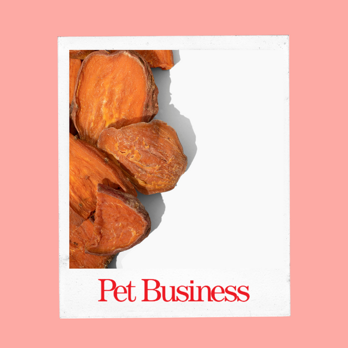 Mindful Meals & Snacks