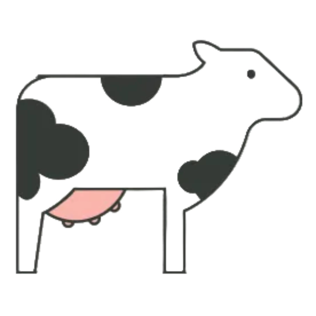 A minimalist line-art illustration of a black-and-white cow with a pink udder, shown on a plain white background.
