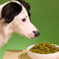 Black and white dog sniffing a bowl of prepared Petaluma Whole Food Mixer
