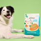 Dog lying next to a bag of Petaluma Whole Food Mixer dehydrated dog food