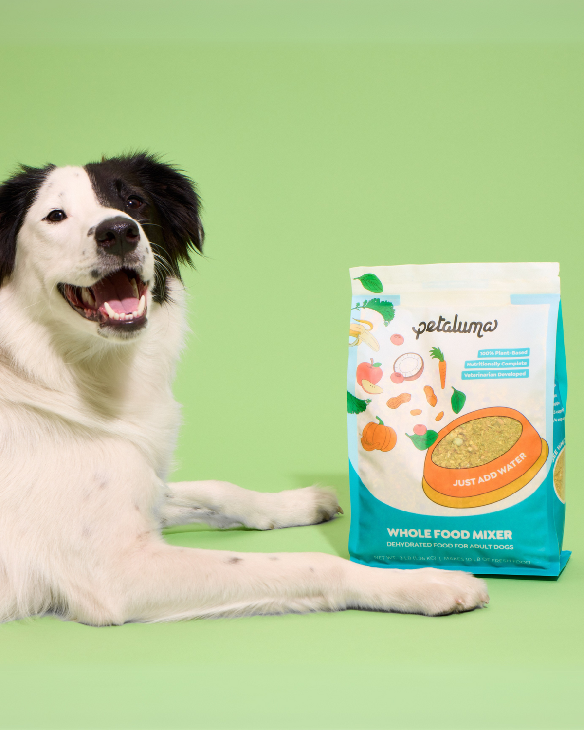 Dog lying next to a bag of Petaluma Whole Food Mixer dehydrated dog food