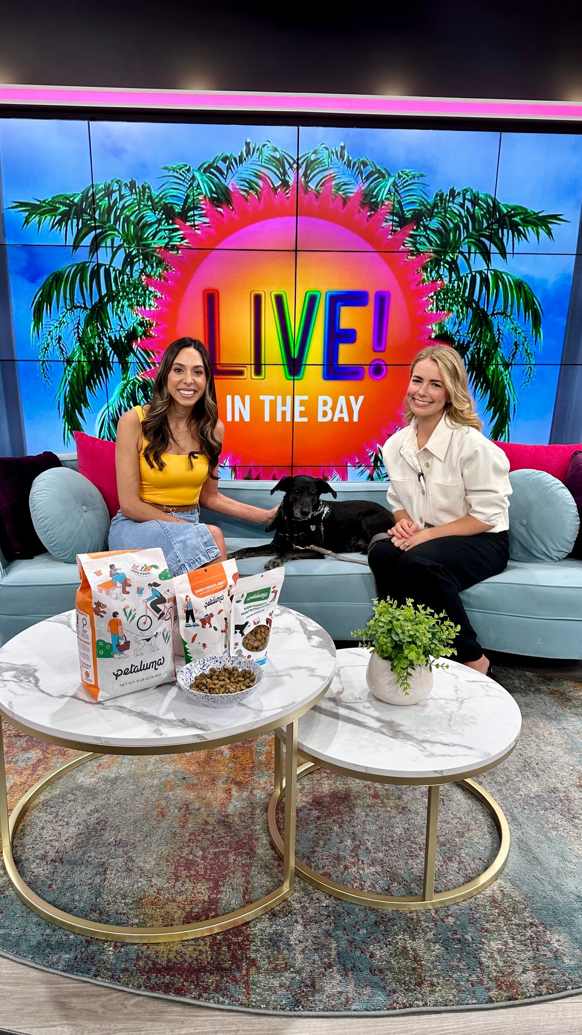 Caroline Buck at LIVE! In the Bay