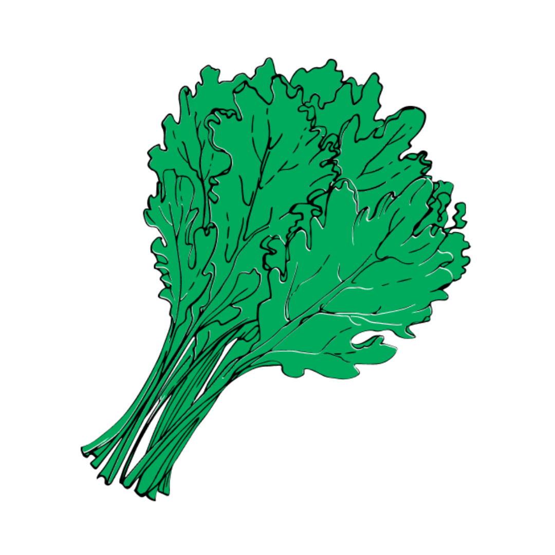 Kale graphic drawing