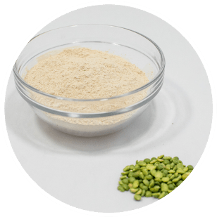 Pea protein