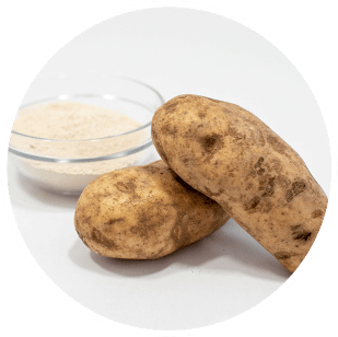 Potato protein