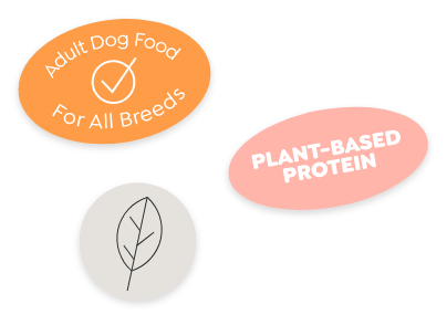 Adult Dog Food for All Breeds