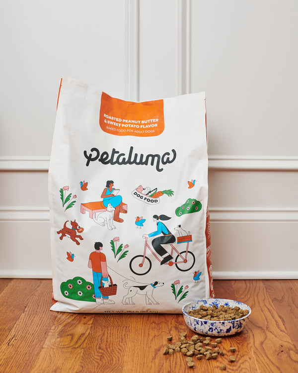 Roasted Peanut Butter & Sweet Potato