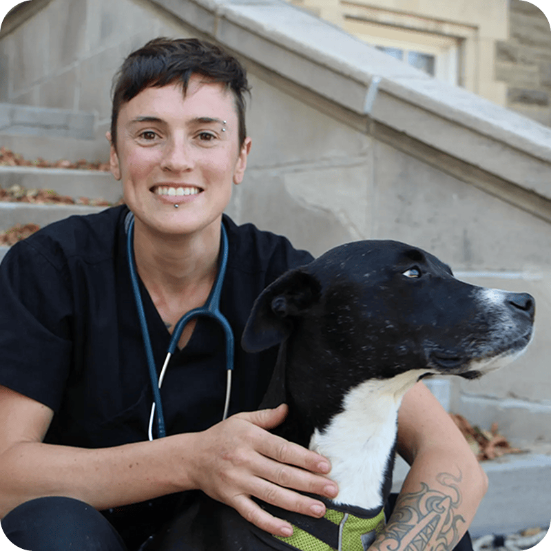Dr. Sarah Dodd