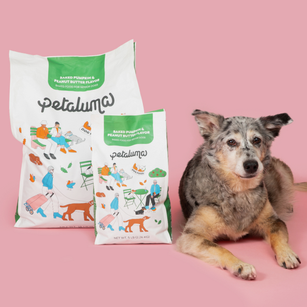 Senior Dry Dog Food | Baked Pumpkin & Peanut Butter Flavor – Petaluma