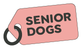 Senior Dogs