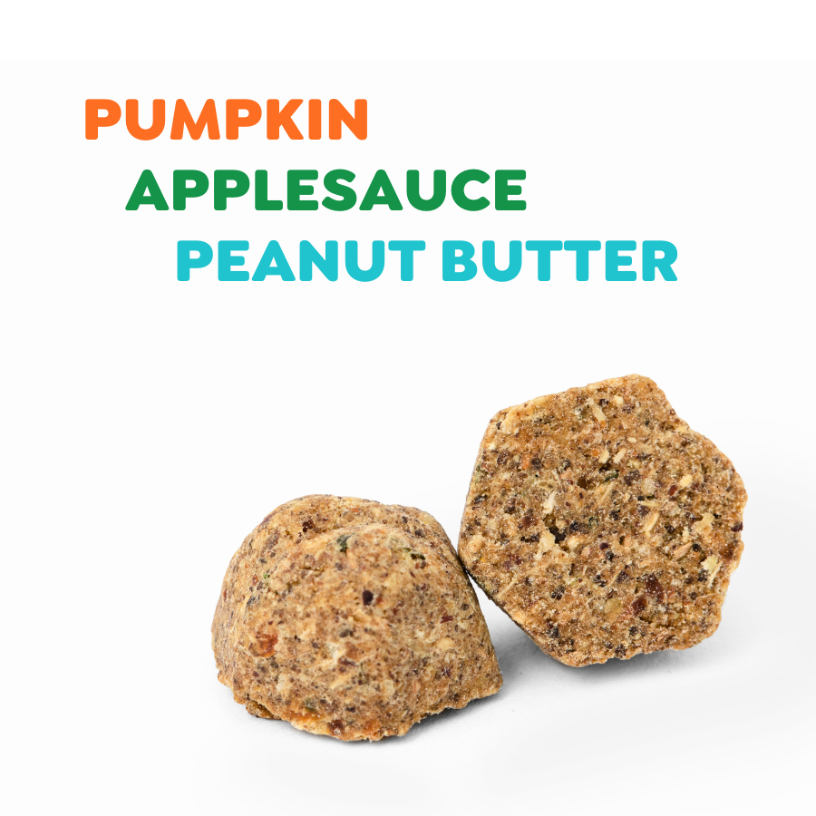 Close-up of Petaluma senior baked food pieces with the words pumpkin, applesauce, and peanut butter