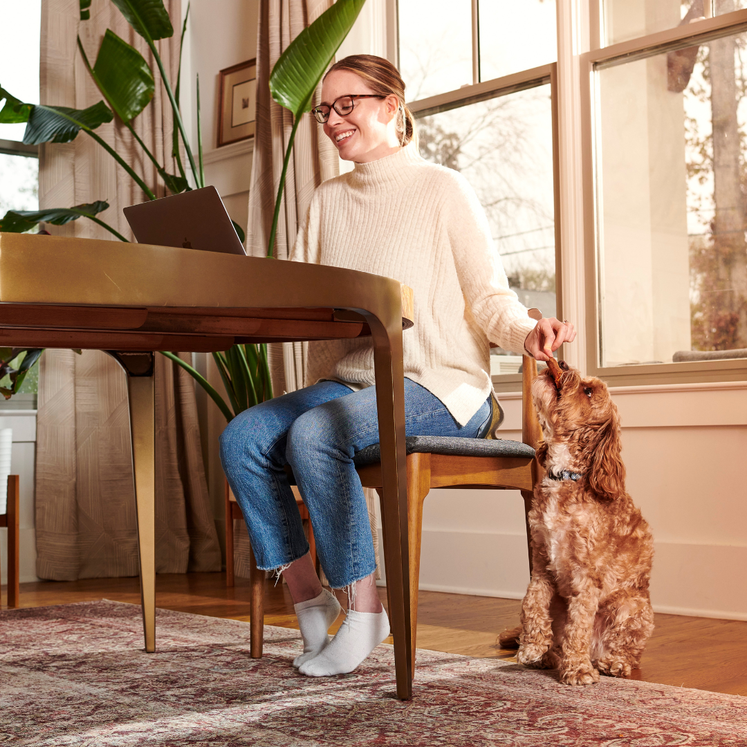 A woman working from home and feeding a dog a piece of Sweet Potato Jerky
