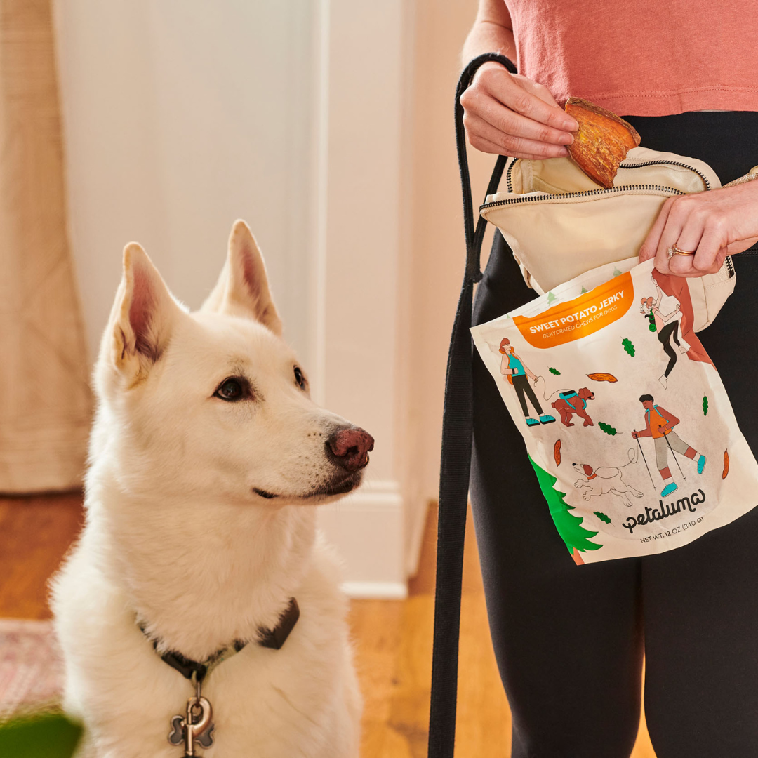 Husky dog with a bag of Petaluma sweet potato jerky