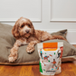 Goldendoodle lying on a bed with a bag of Petaluma sweet potato jerky
