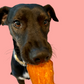 Picture of a dog eating sweet potato jerky
